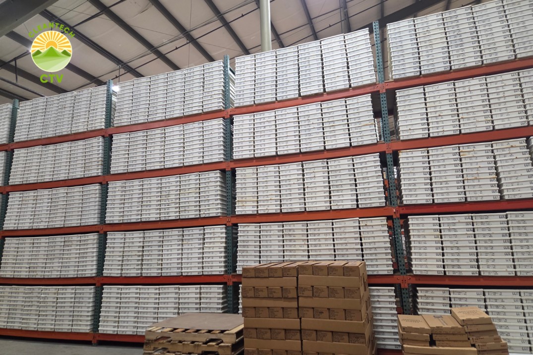 CleanTech’s Fluorspar Projects