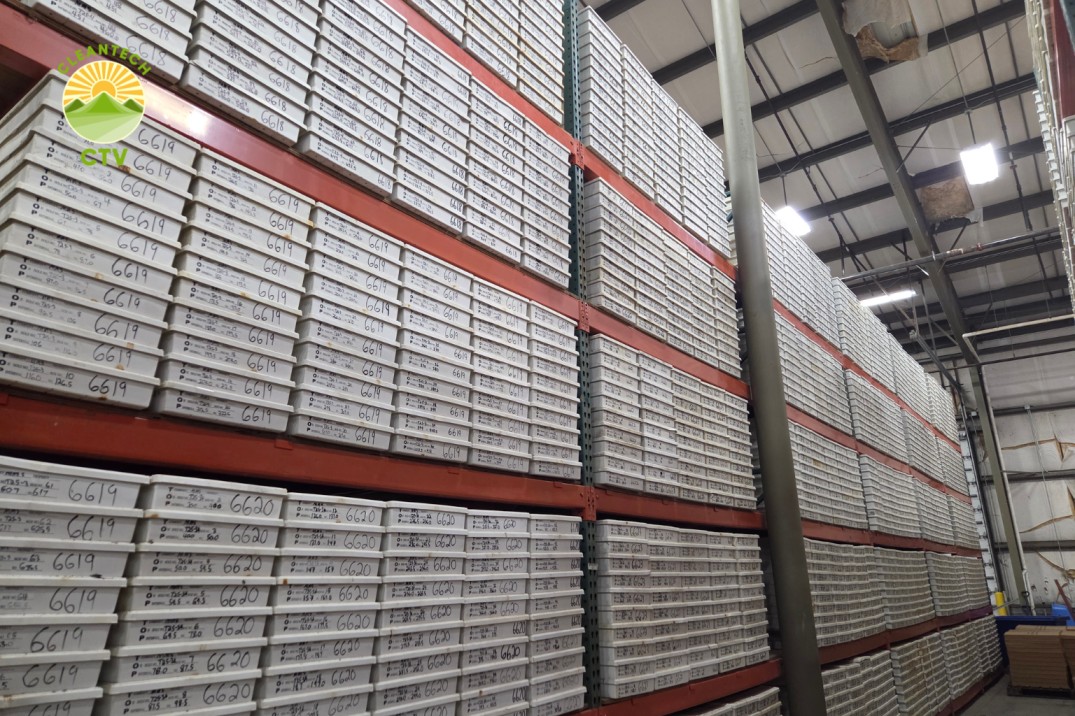 Illinois-Kentucky Fluorspar District